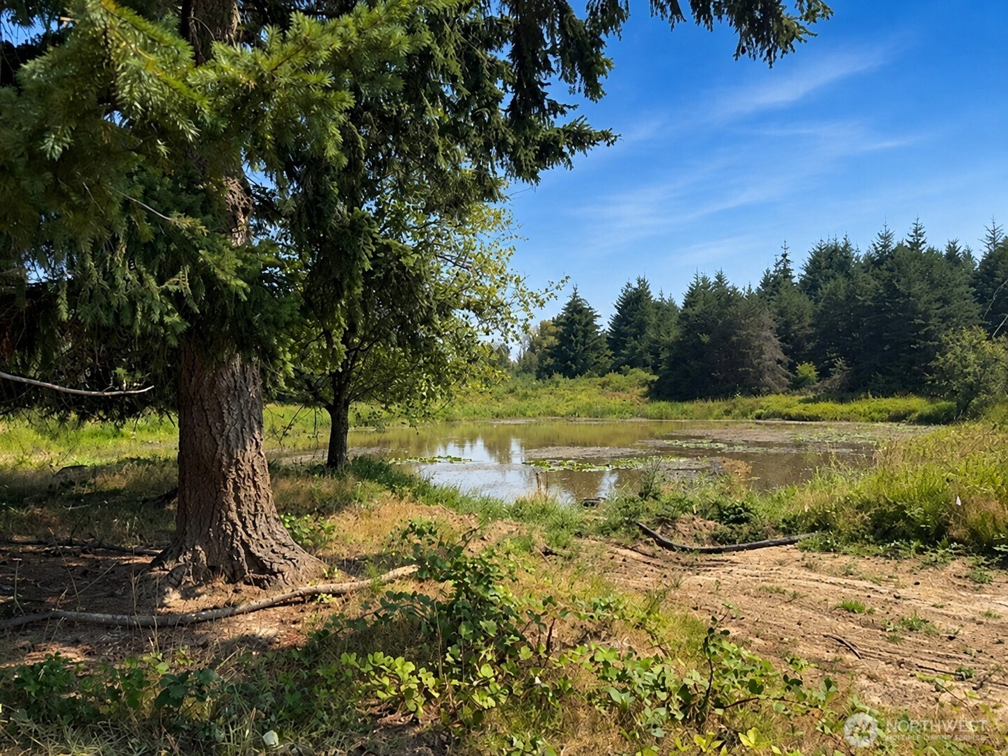 1453 Hwy 603 Property Photo 5