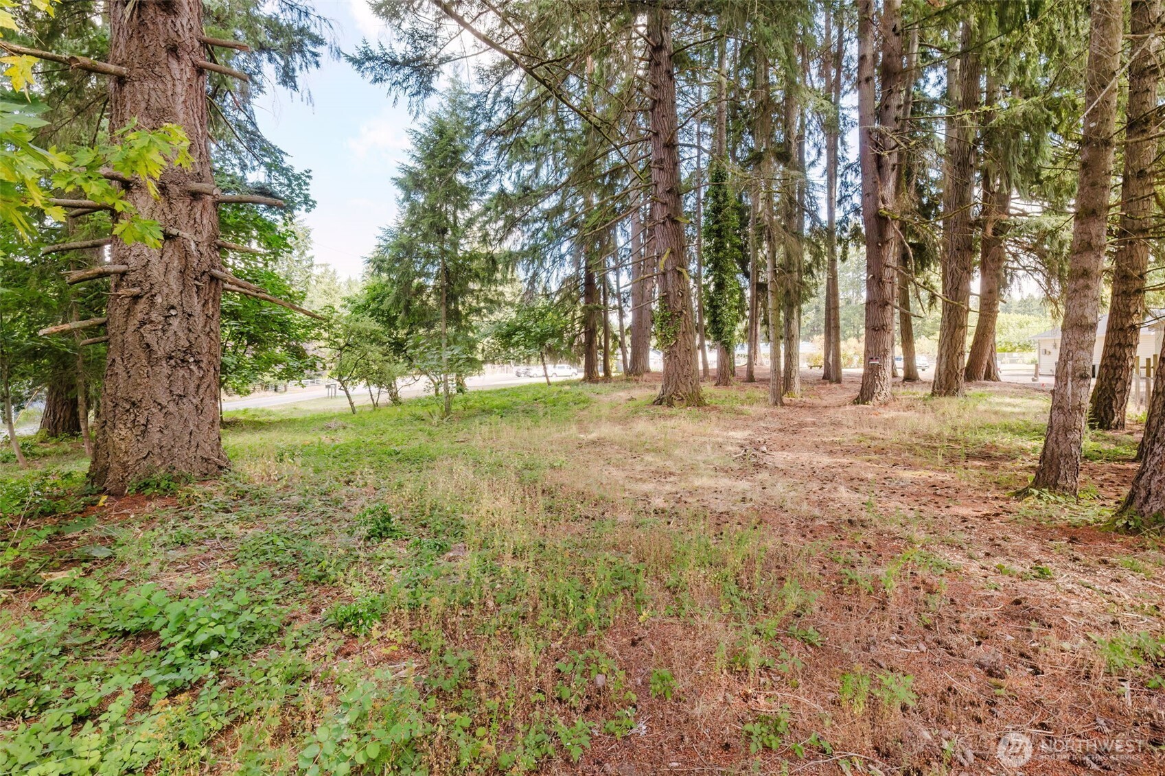 6820 Meridian Road Property Photo 39