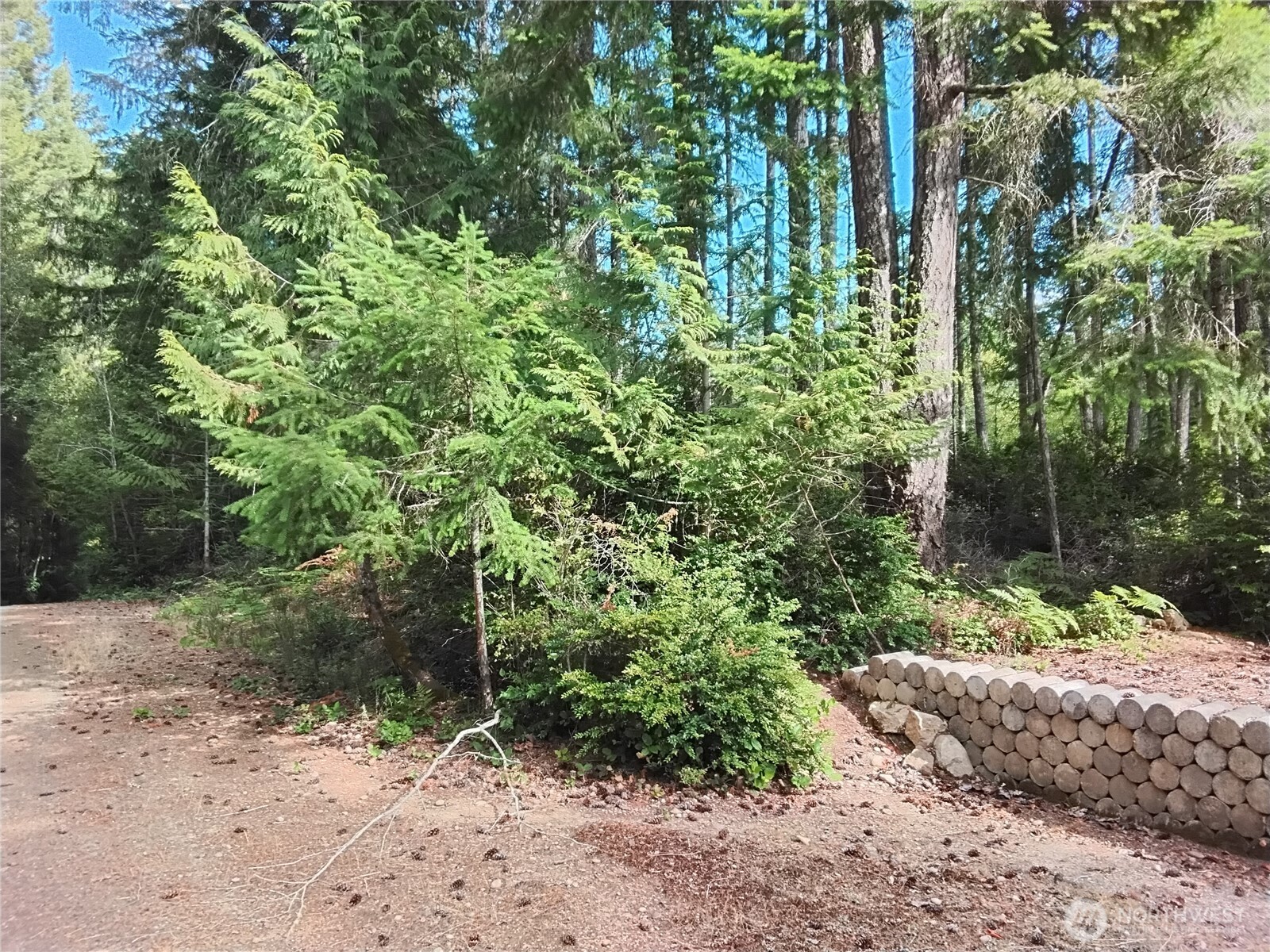 0 E Frontier Road Property Photo 1
