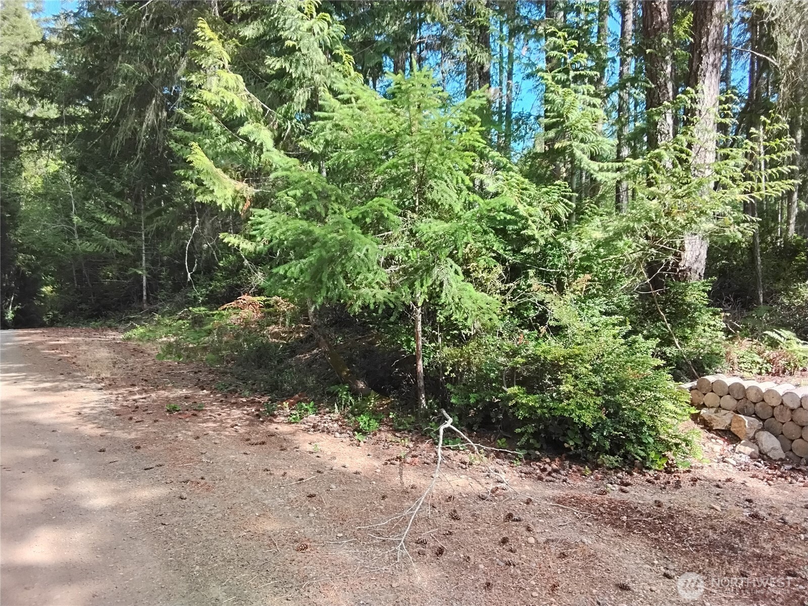 0 E Frontier Road Property Photo 2