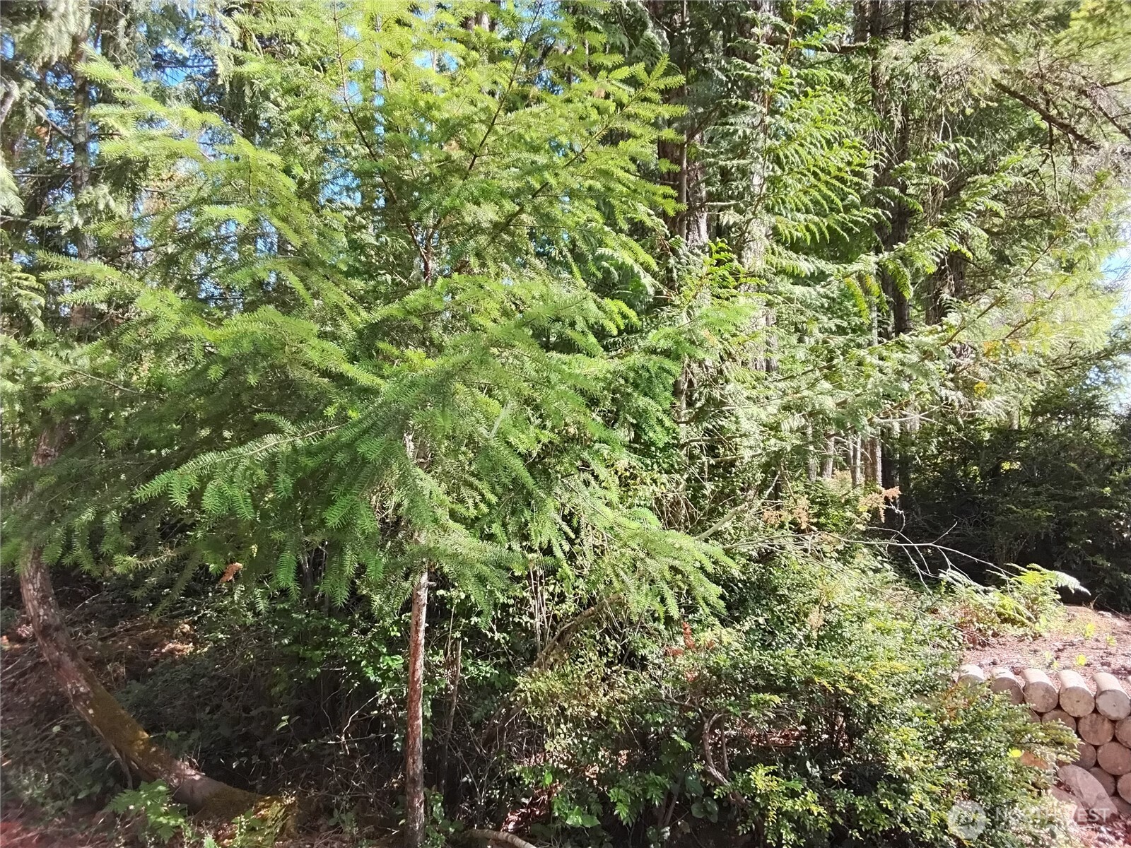 0 E Frontier Road Property Photo 4