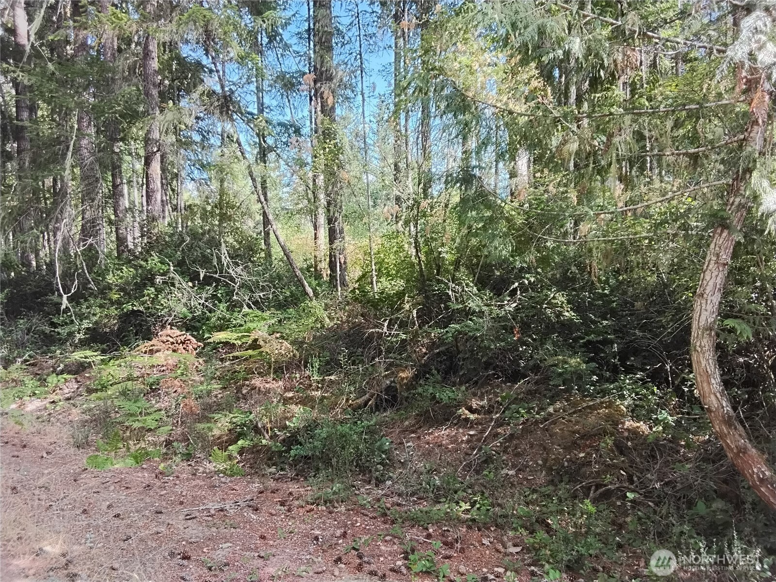 0 E Frontier Road Property Photo 5