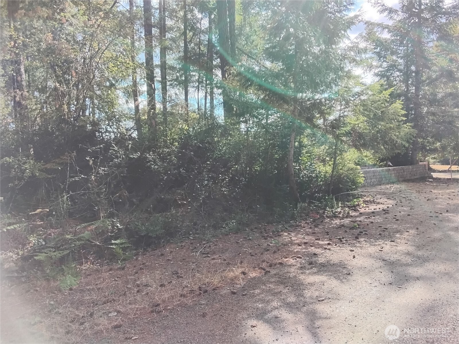 0 E Frontier Road Property Photo 6