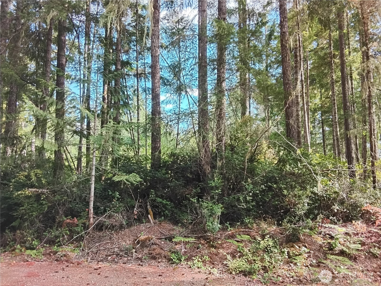 0 E Frontier Road Property Photo 7