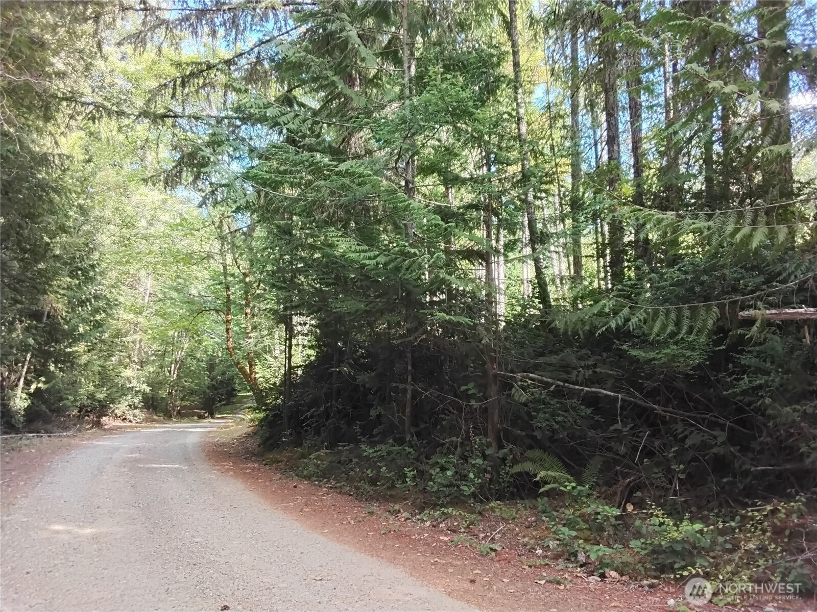 0 E Frontier Road Property Photo 8