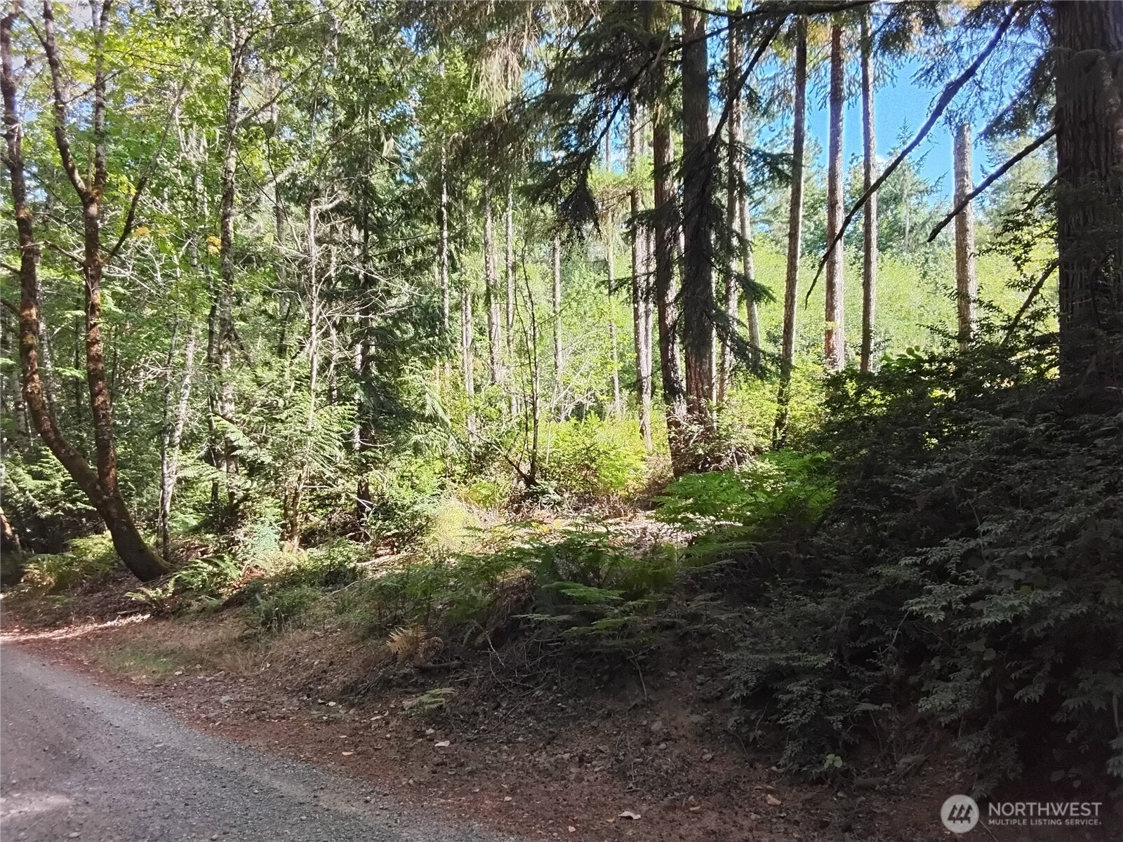 0 E Frontier Road Property Photo 9