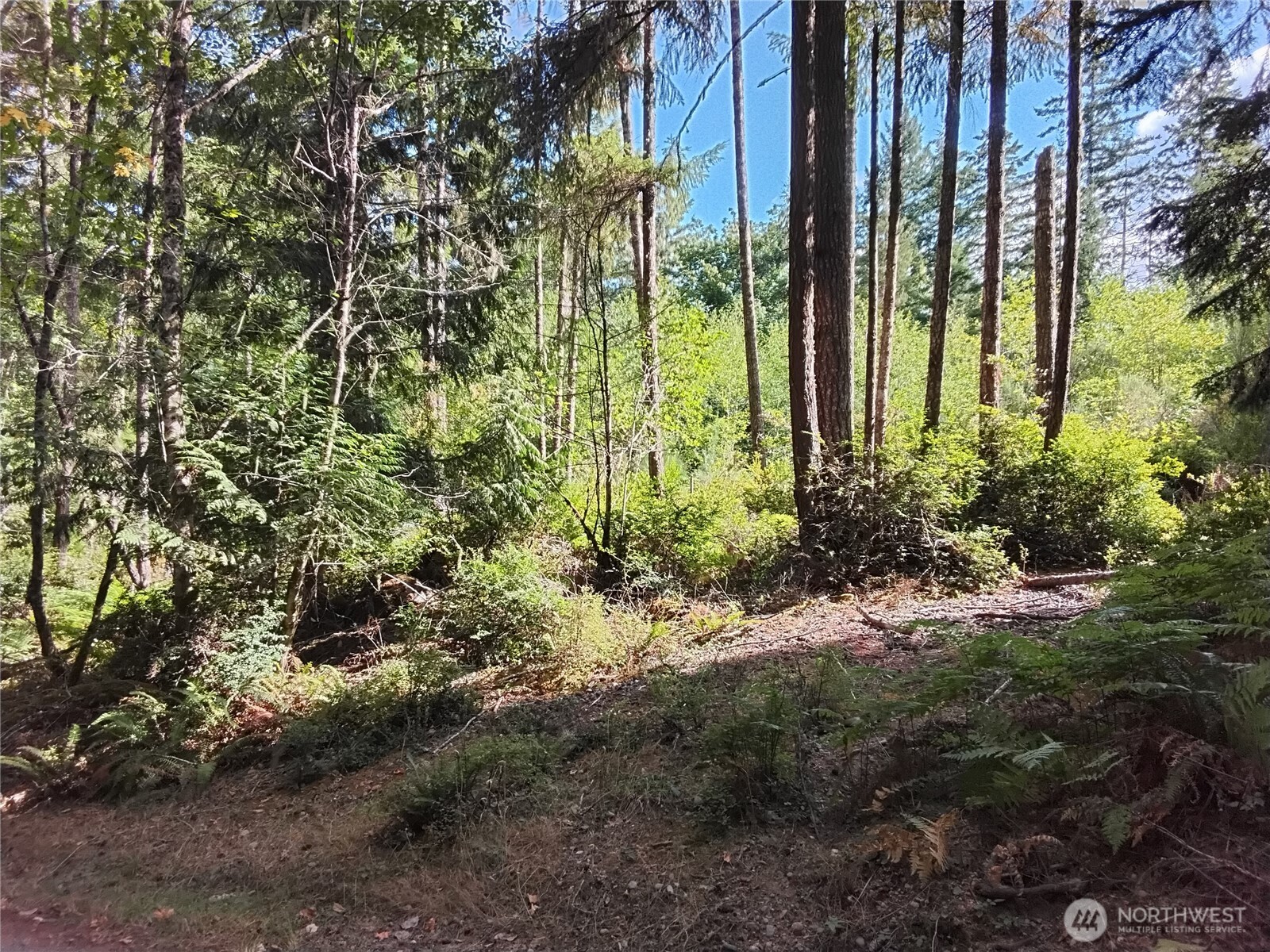 0 E Frontier Road Property Photo 10
