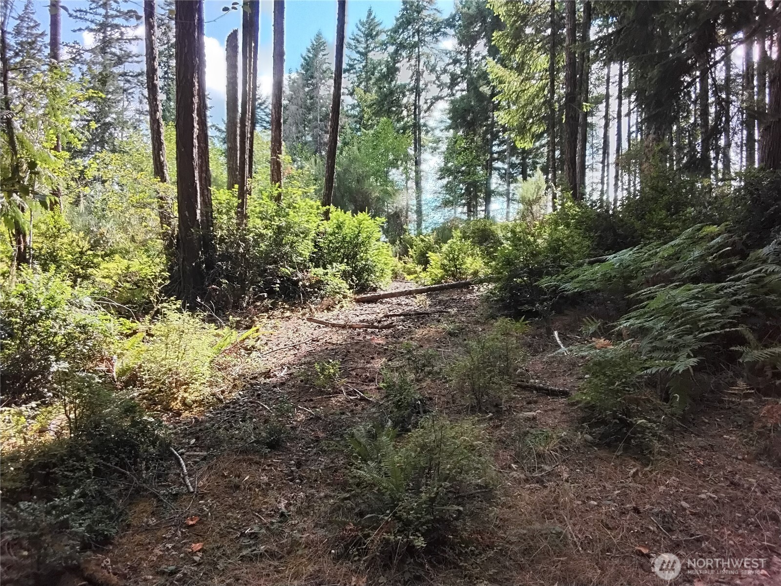 0 E Frontier Road Property Photo 11