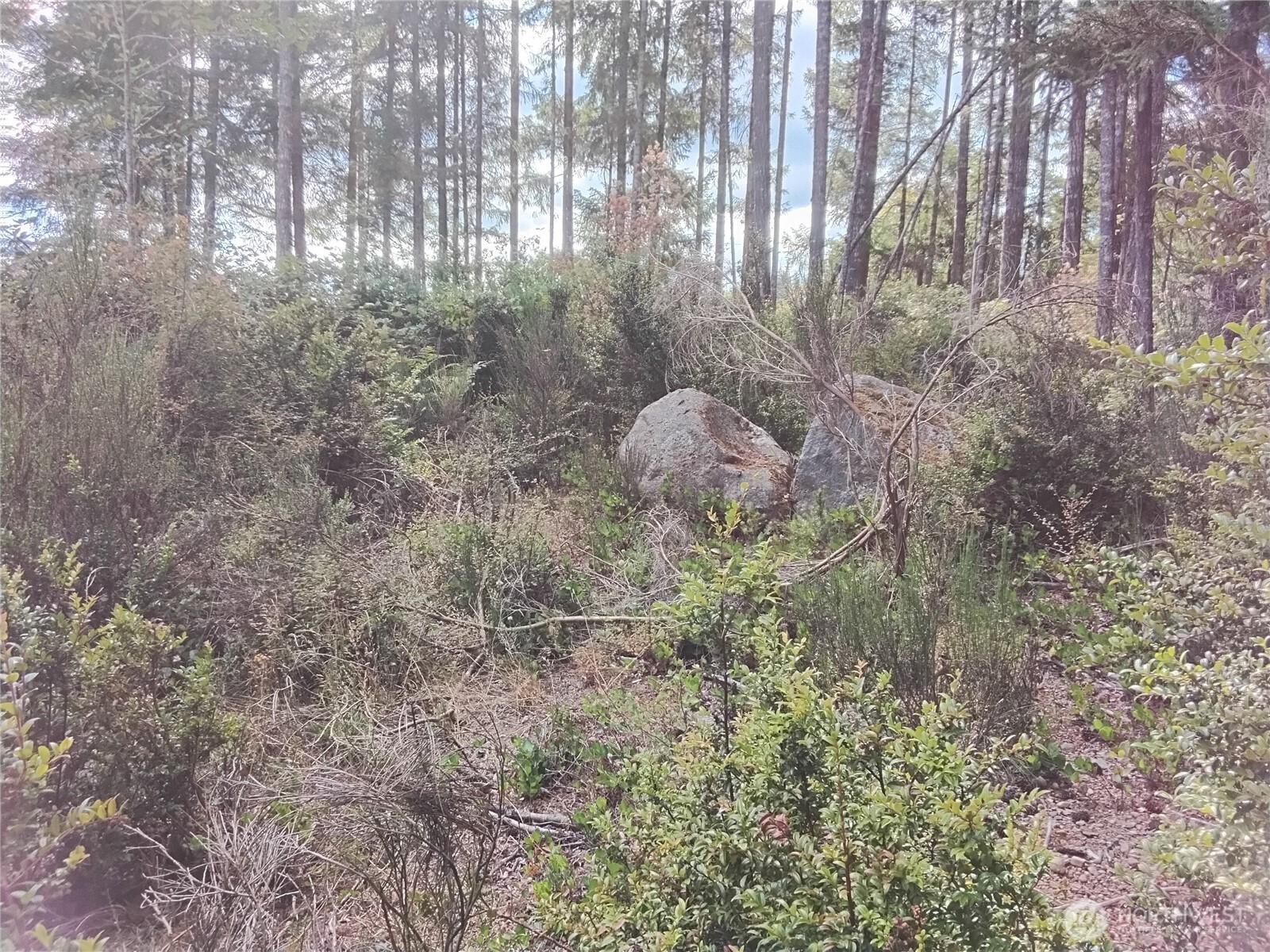 0 E Frontier Road Property Photo 12