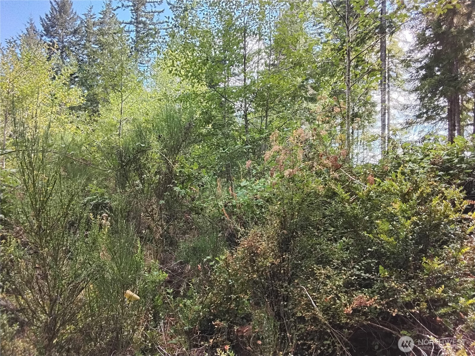 0 E Frontier Road Property Photo 13