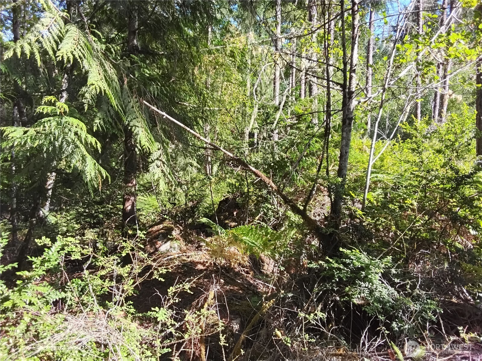 0 E Frontier Road Property Photo 14