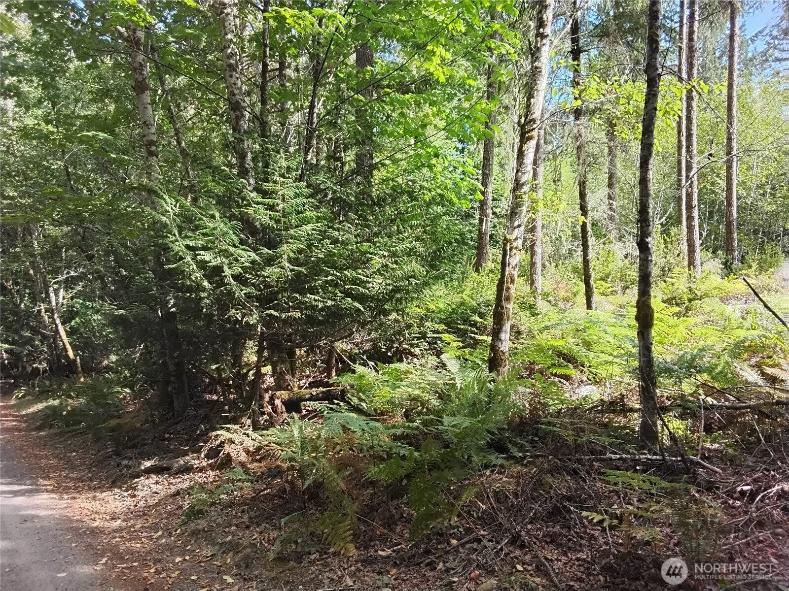 0 E Frontier Road Property Photo 15