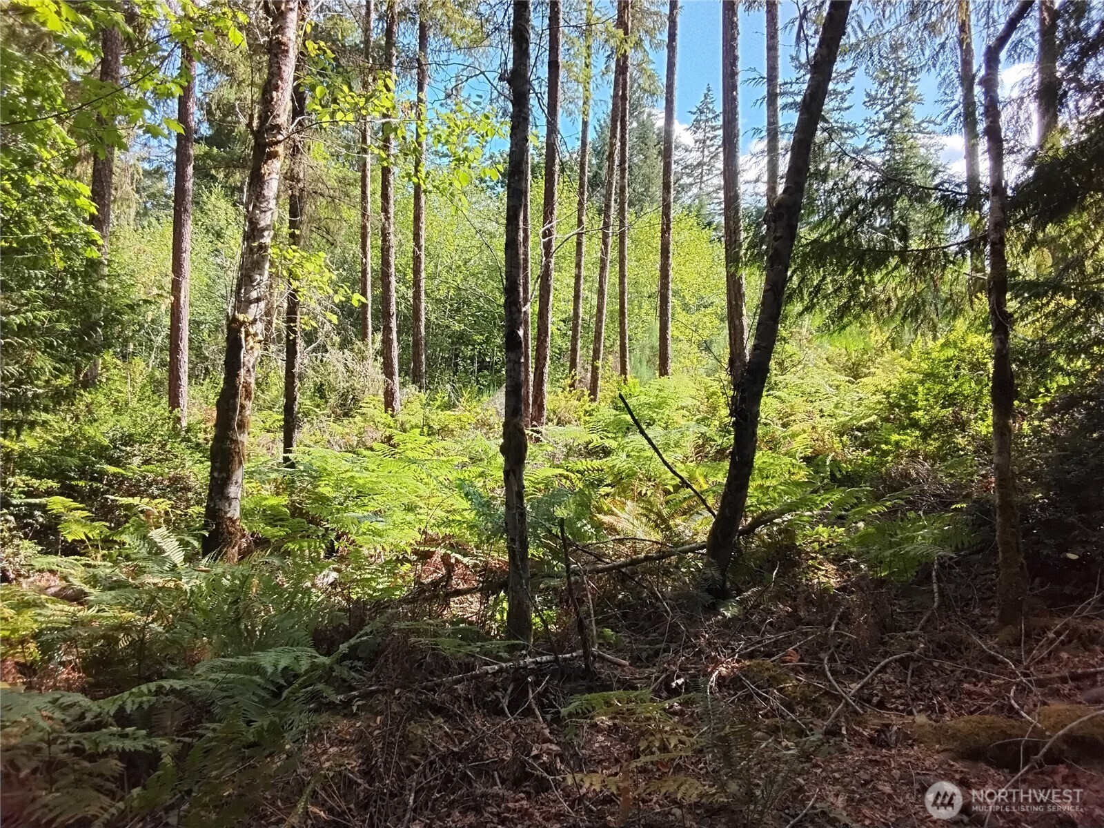 0 E Frontier Road Property Photo 16