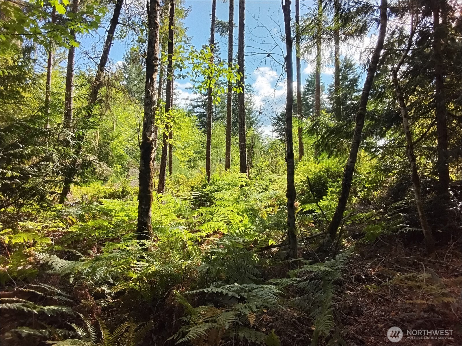 0 E Frontier Road Property Photo 17
