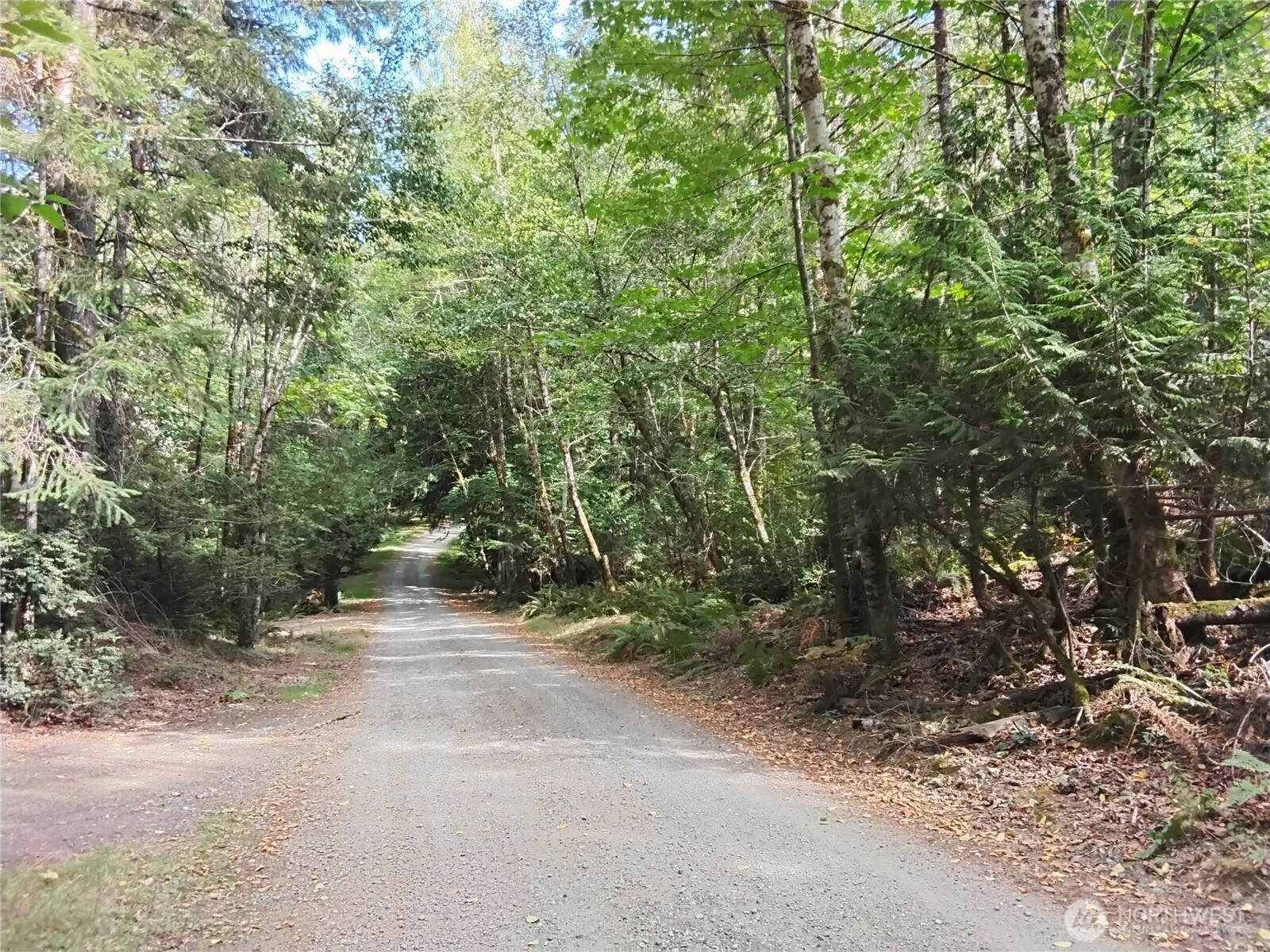 0 E Frontier Road Property Photo 18