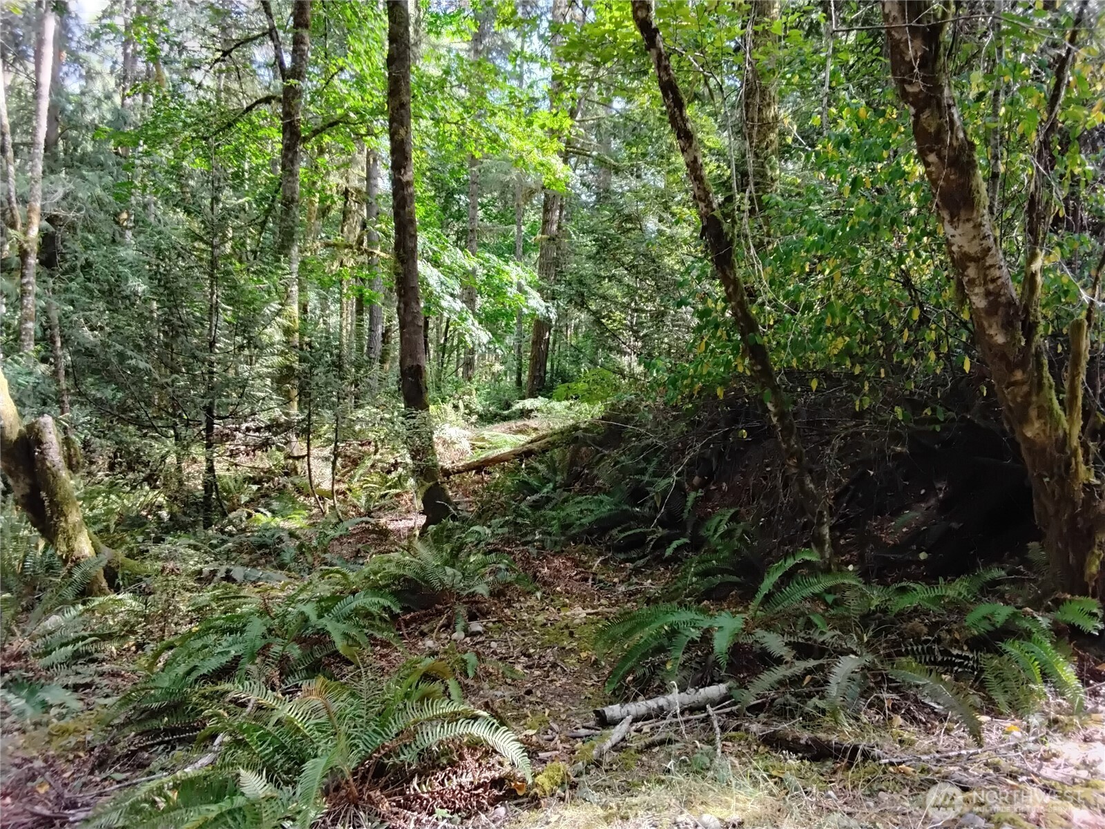 0 E Frontier Road Property Photo 19