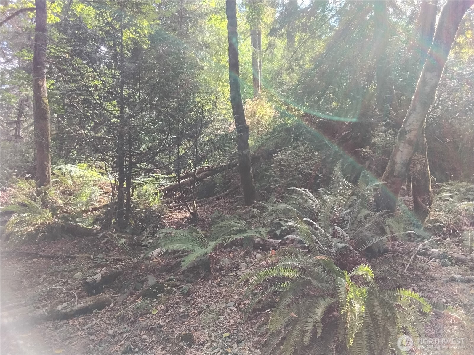 0 E Frontier Road Property Photo 20