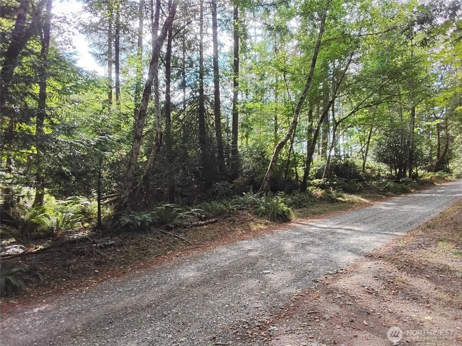 0 E Frontier Road Property Photo 21