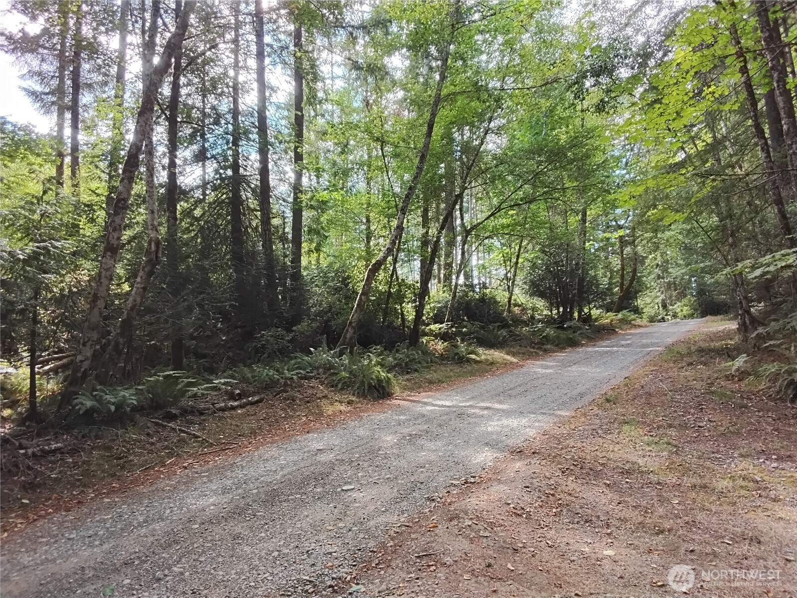 0 E Frontier Road Property Photo 22