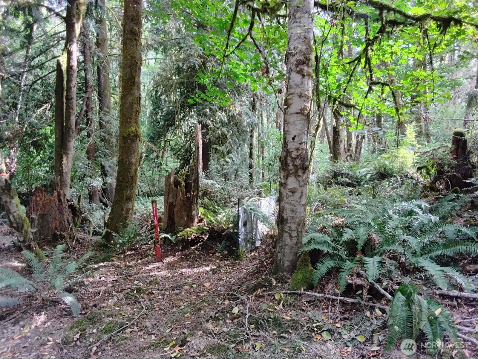 0 E Frontier Road Property Photo 23