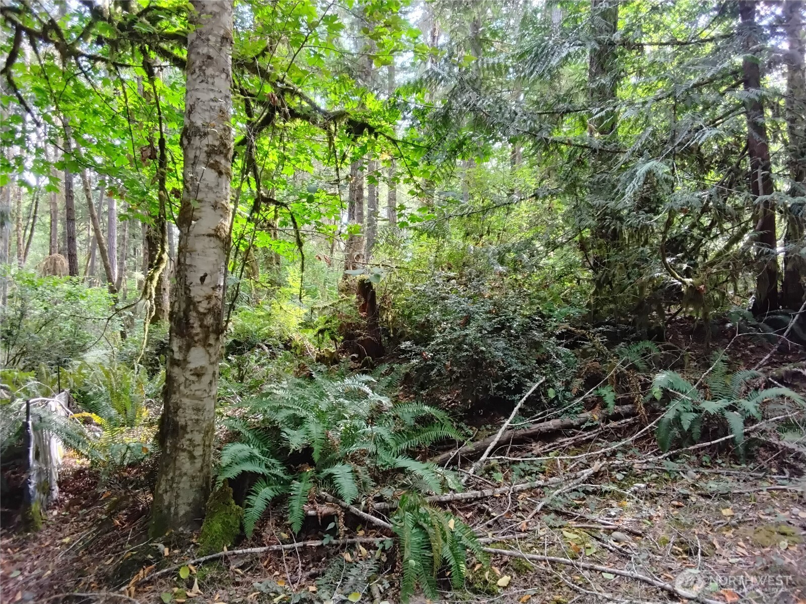 0 E Frontier Road Property Photo 24