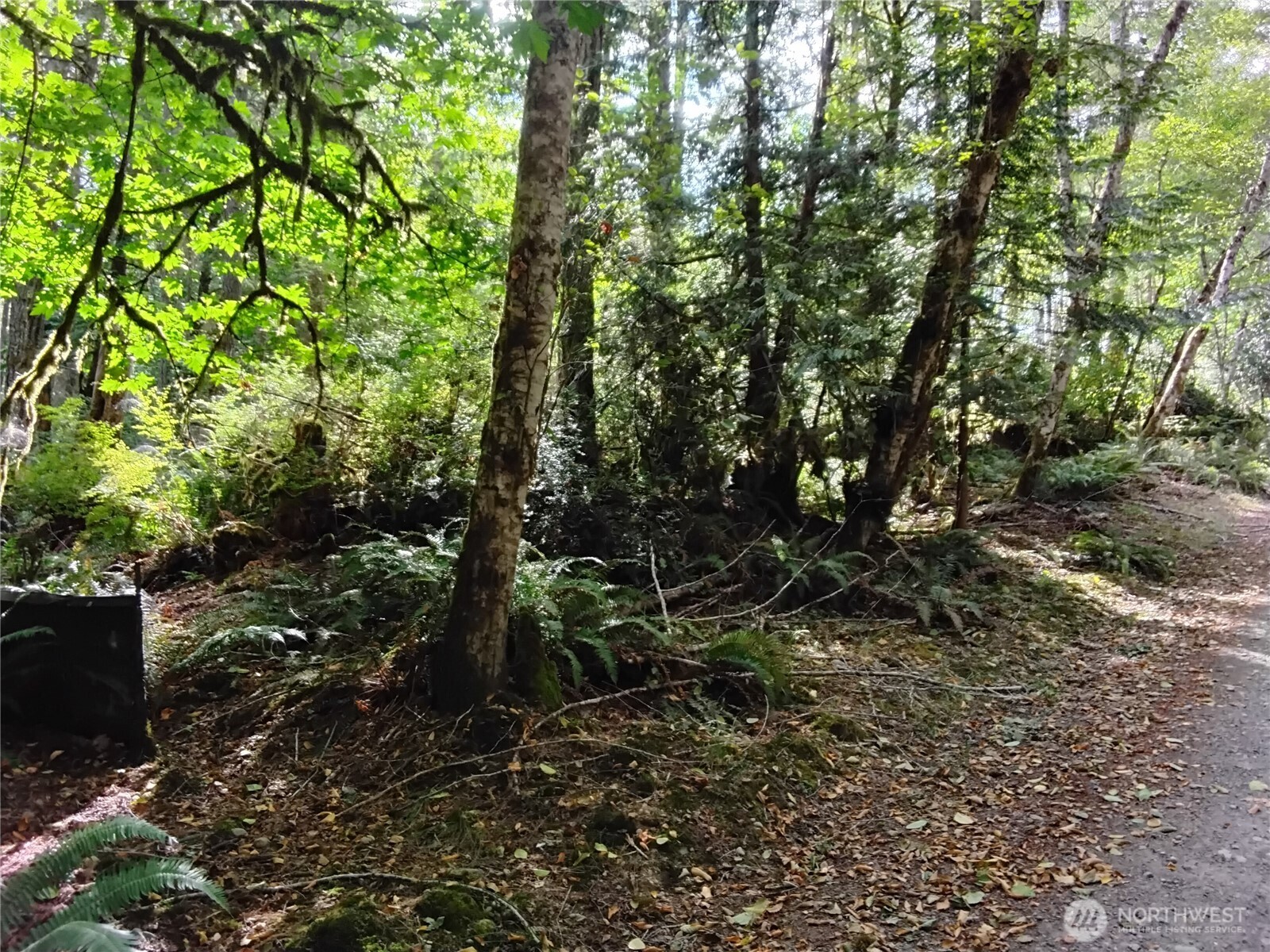 0 E Frontier Road Property Photo 25