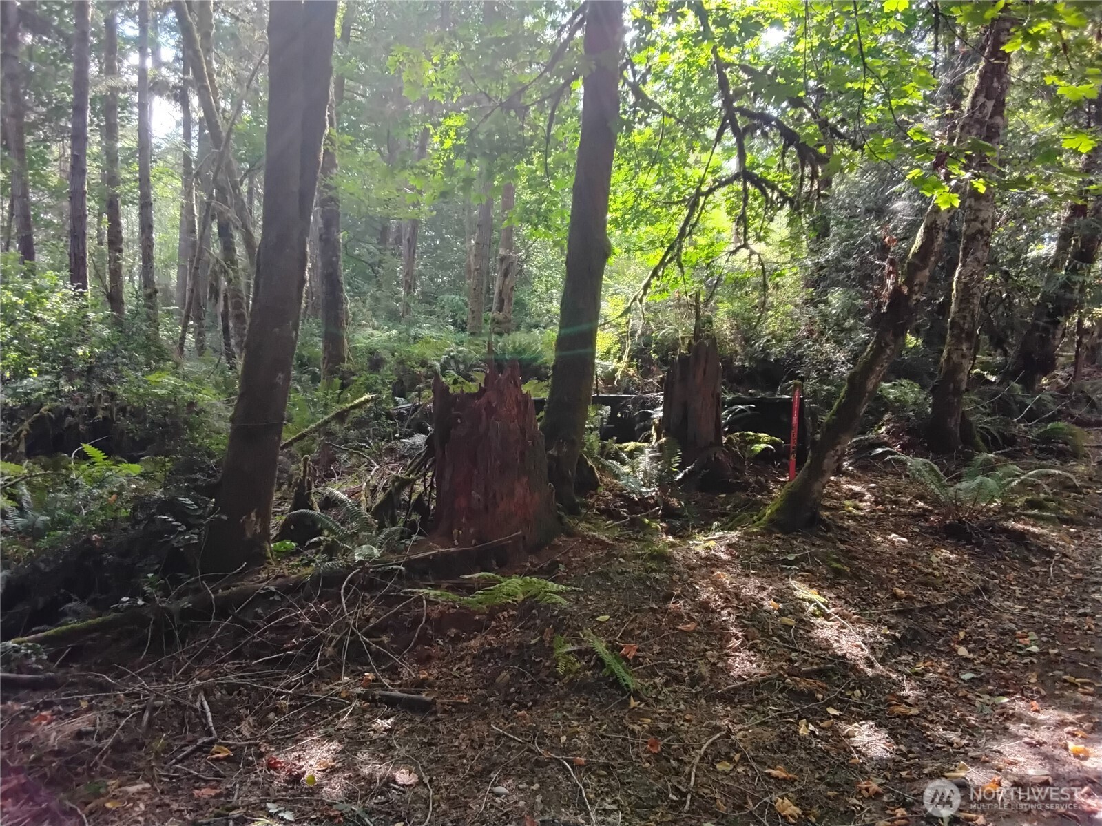 0 E Frontier Road Property Photo 27