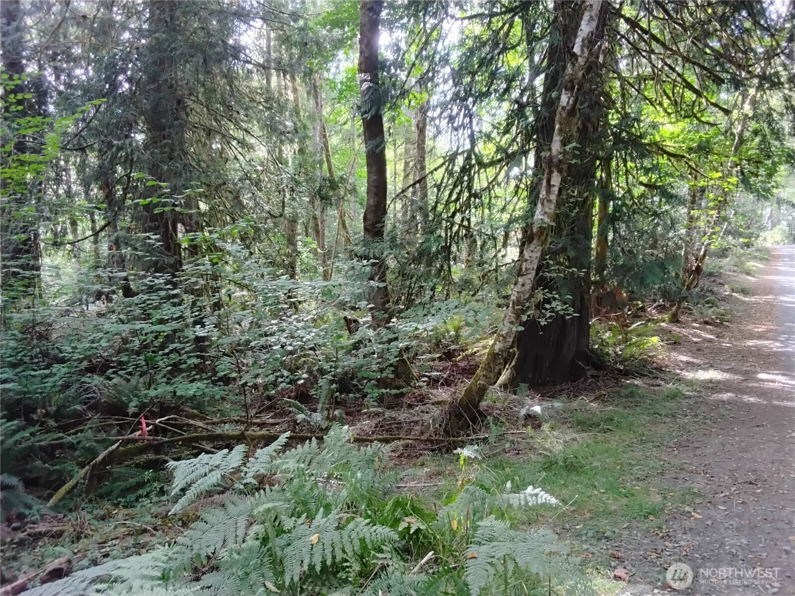 0 E Frontier Road Property Photo 28