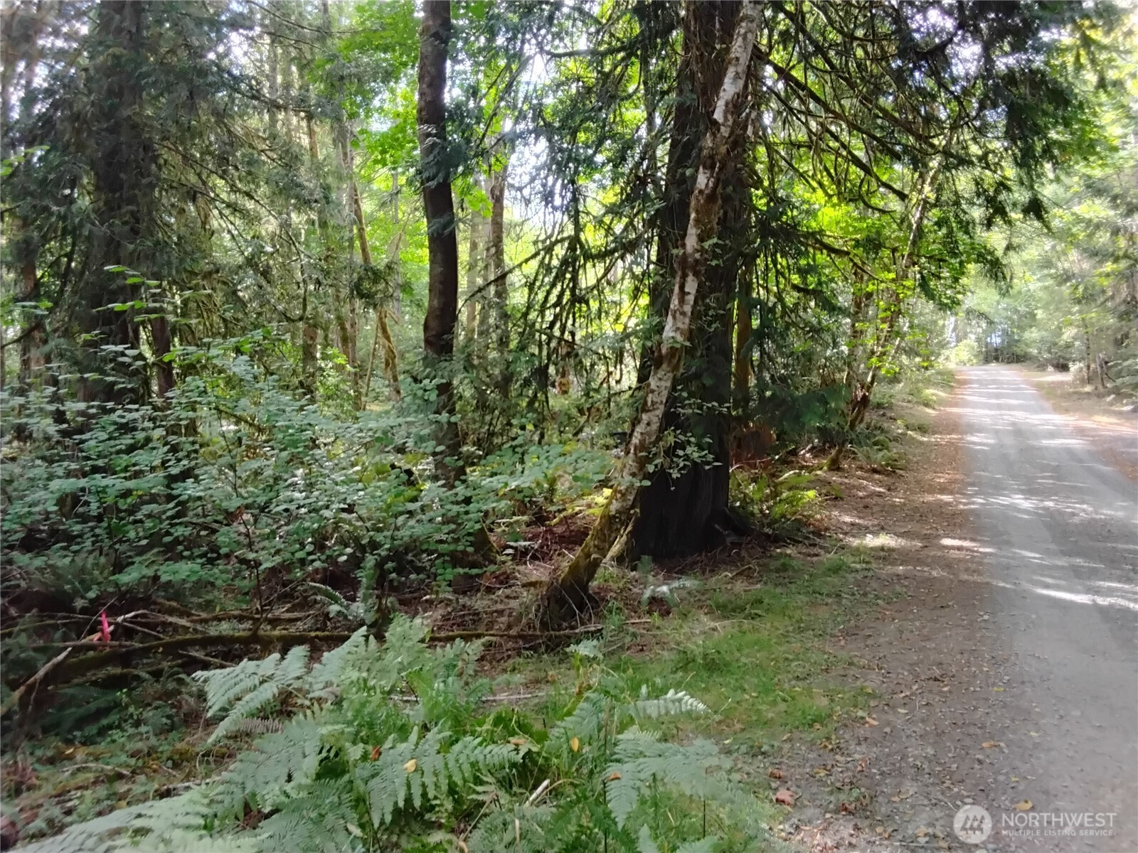 0 E Frontier Road Property Photo 29