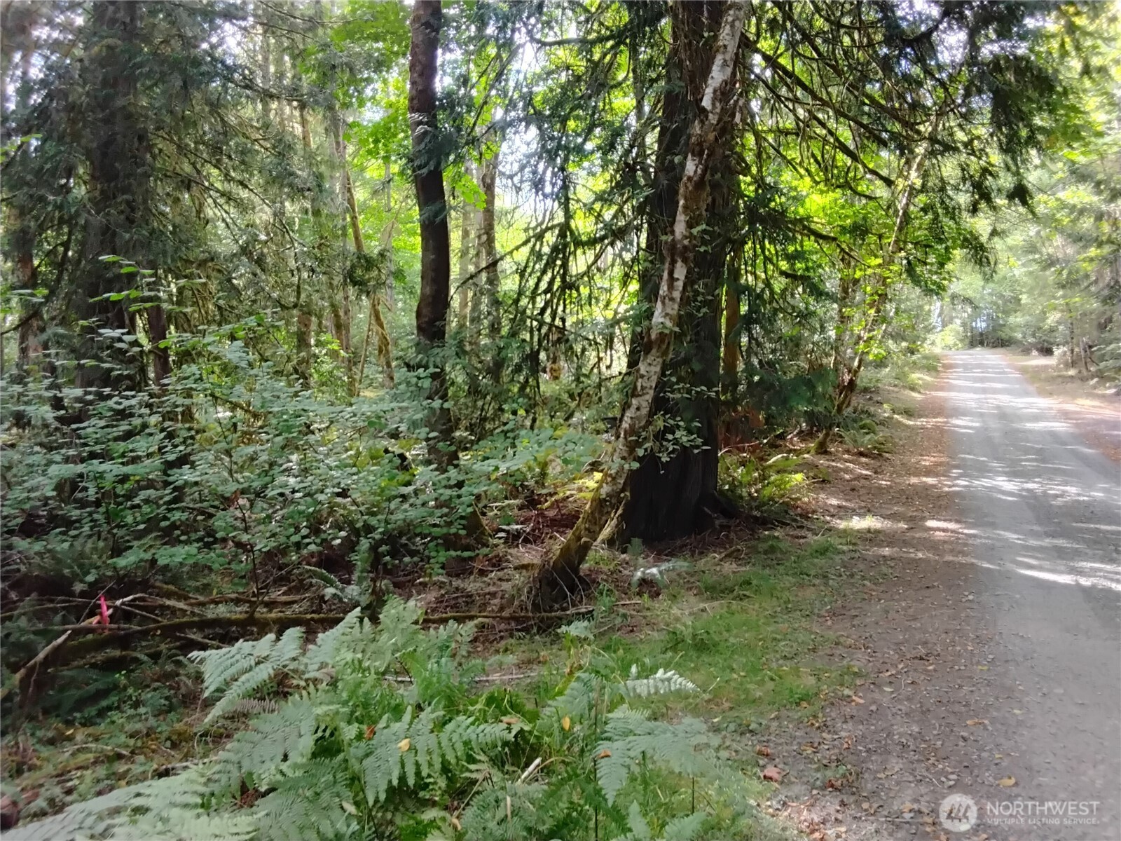 0 E Frontier Road Property Photo 30