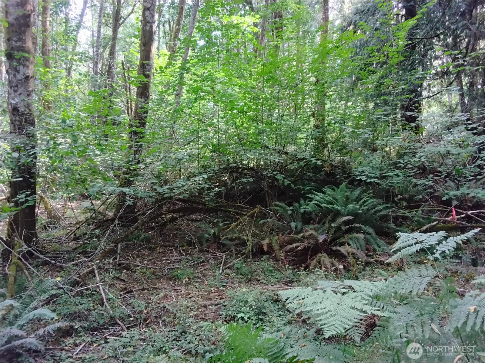 0 E Frontier Road Property Photo 31