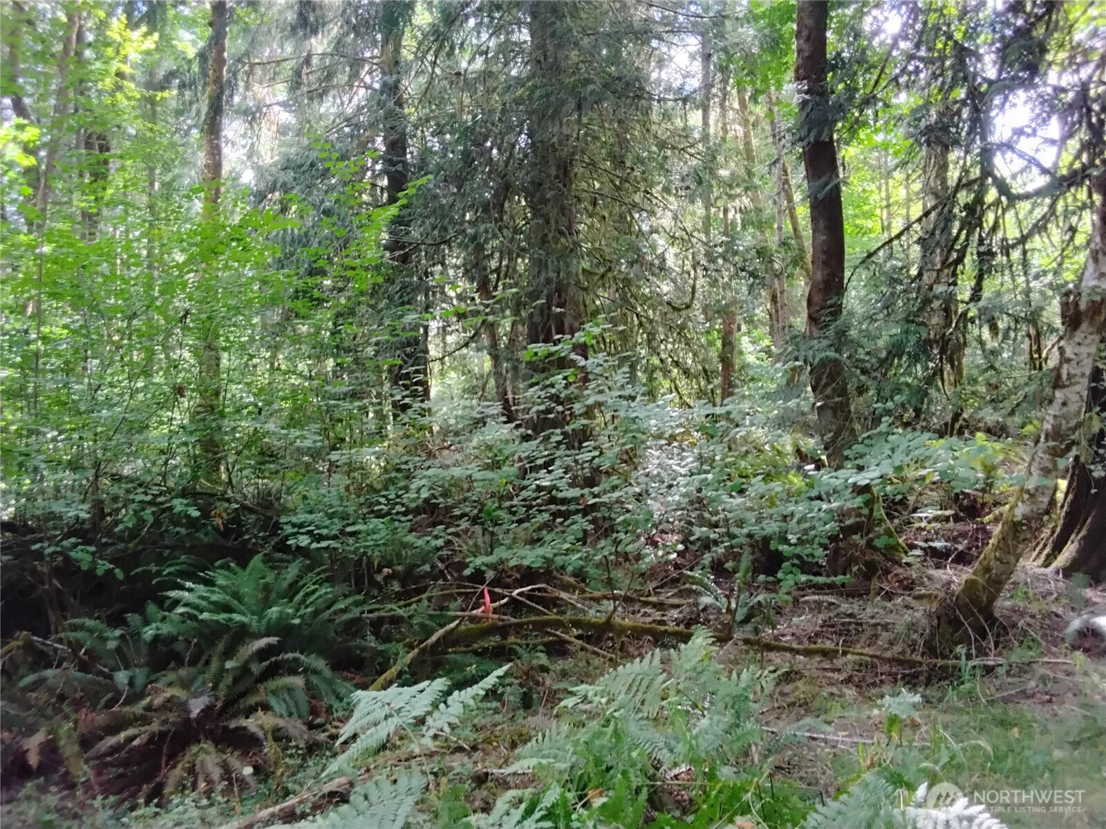 0 E Frontier Road Property Photo 32