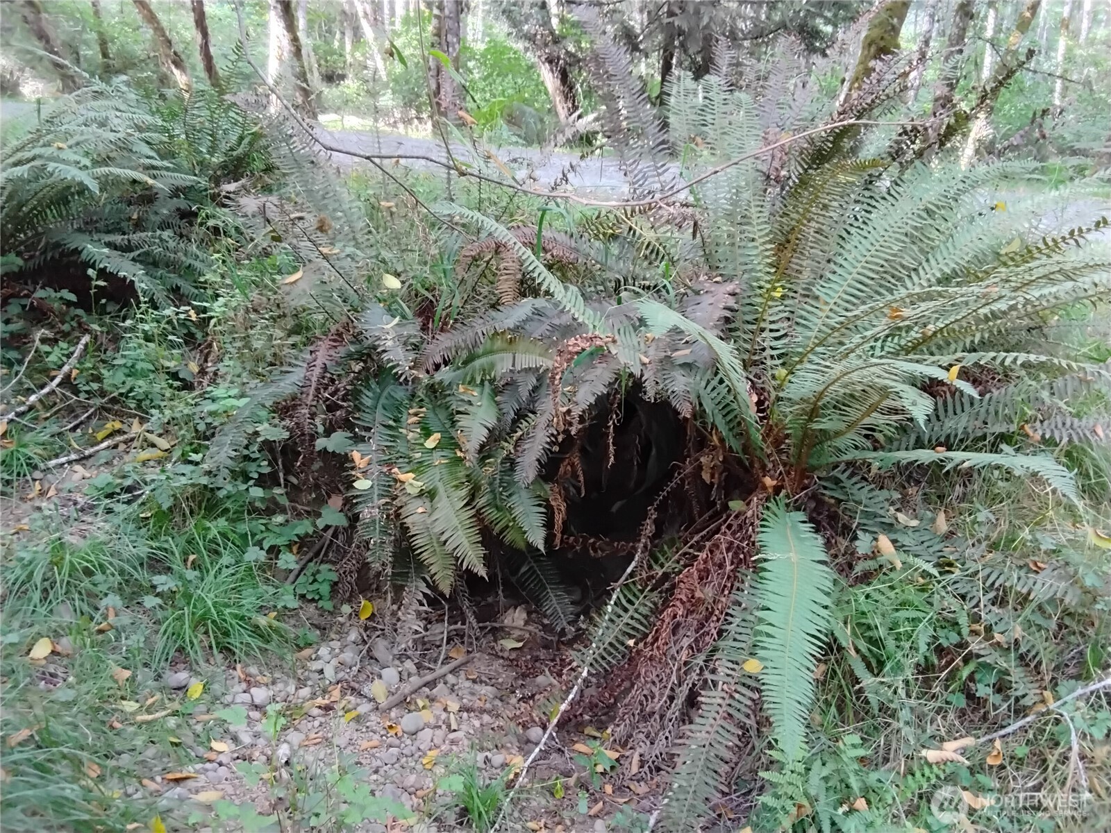 0 E Frontier Road Property Photo 33