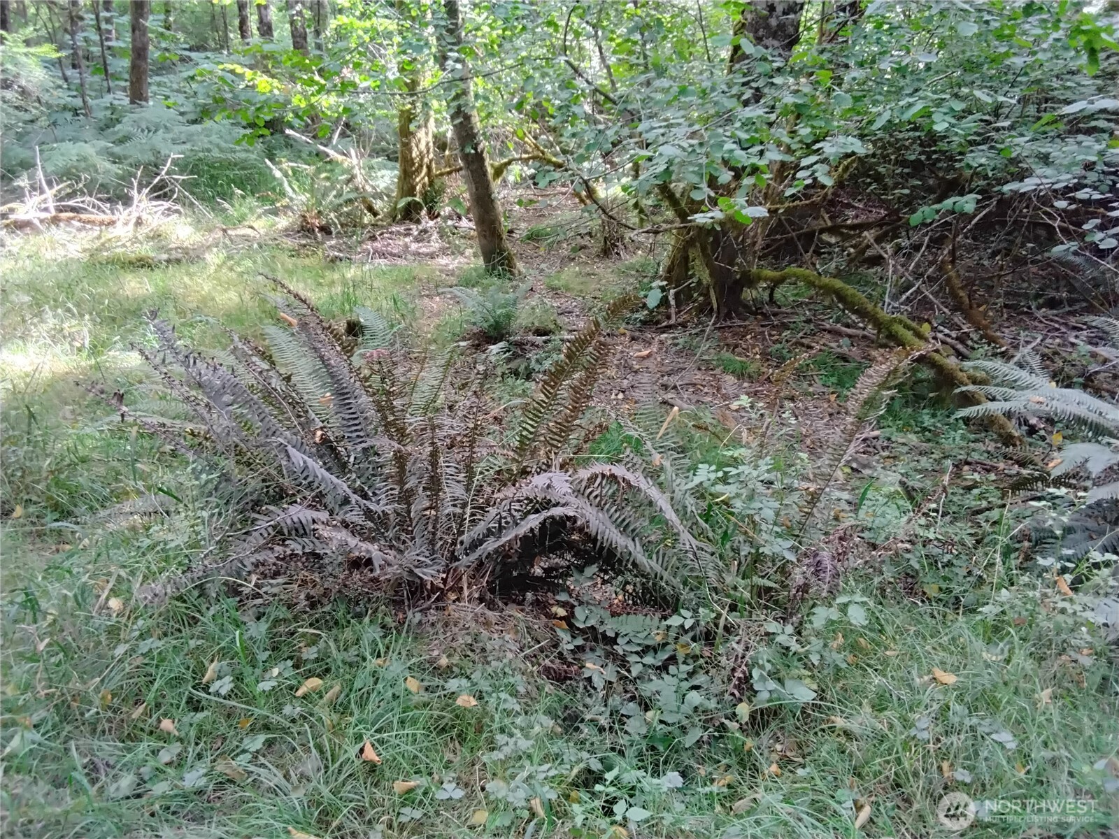 0 E Frontier Road Property Photo 34