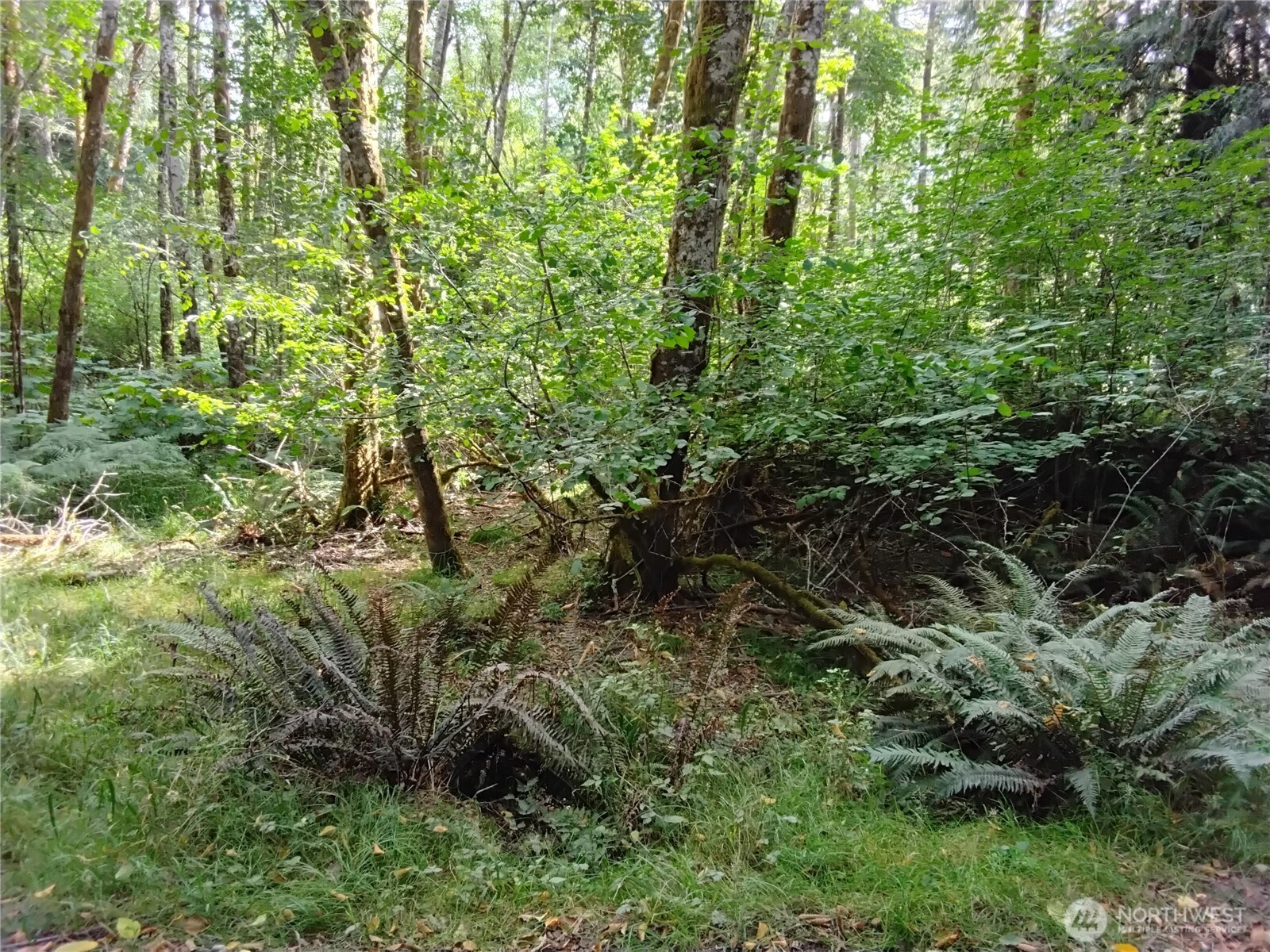 0 E Frontier Road Property Photo 35