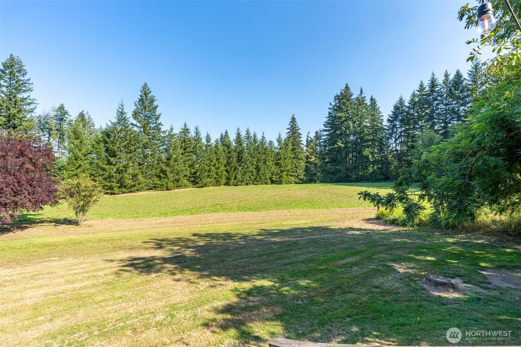 268 Sommerville Road Property Photo 29
