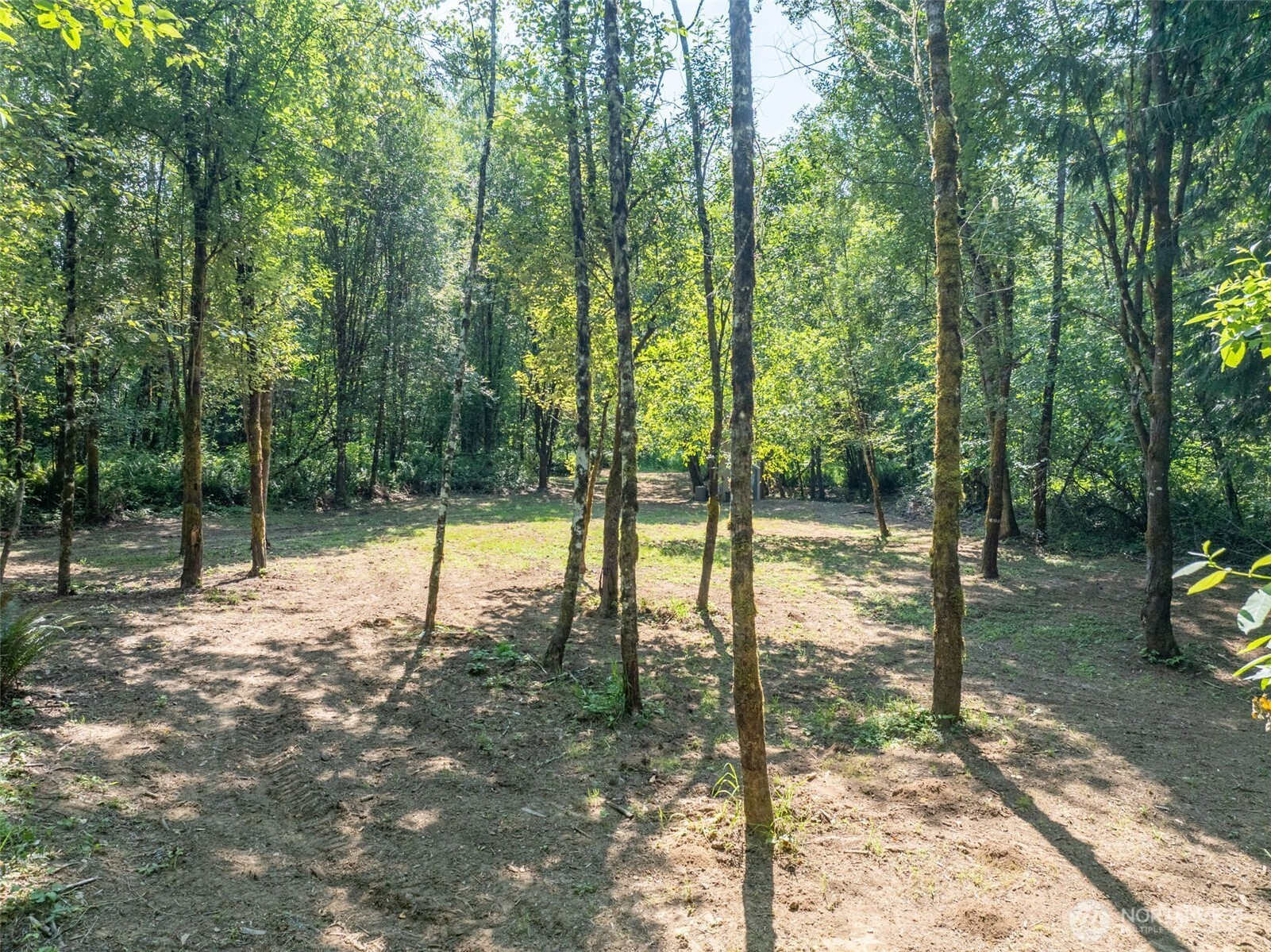 268 Sommerville Road Property Photo 40