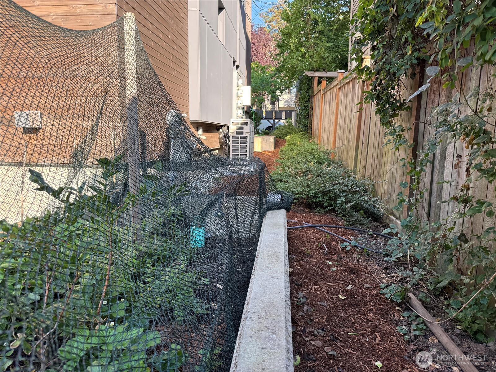 1105 Yakima Avenue Property Photo 38