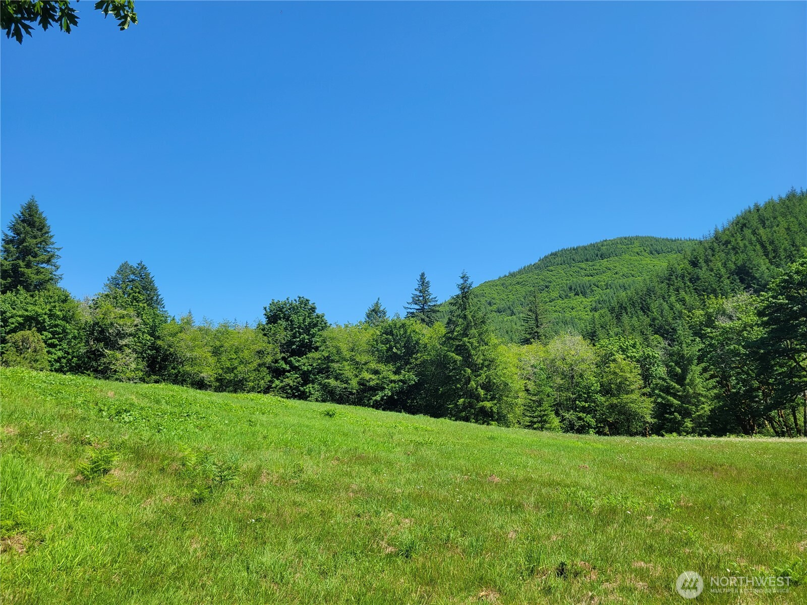 8820 Rose Valley Road Property Photo 3