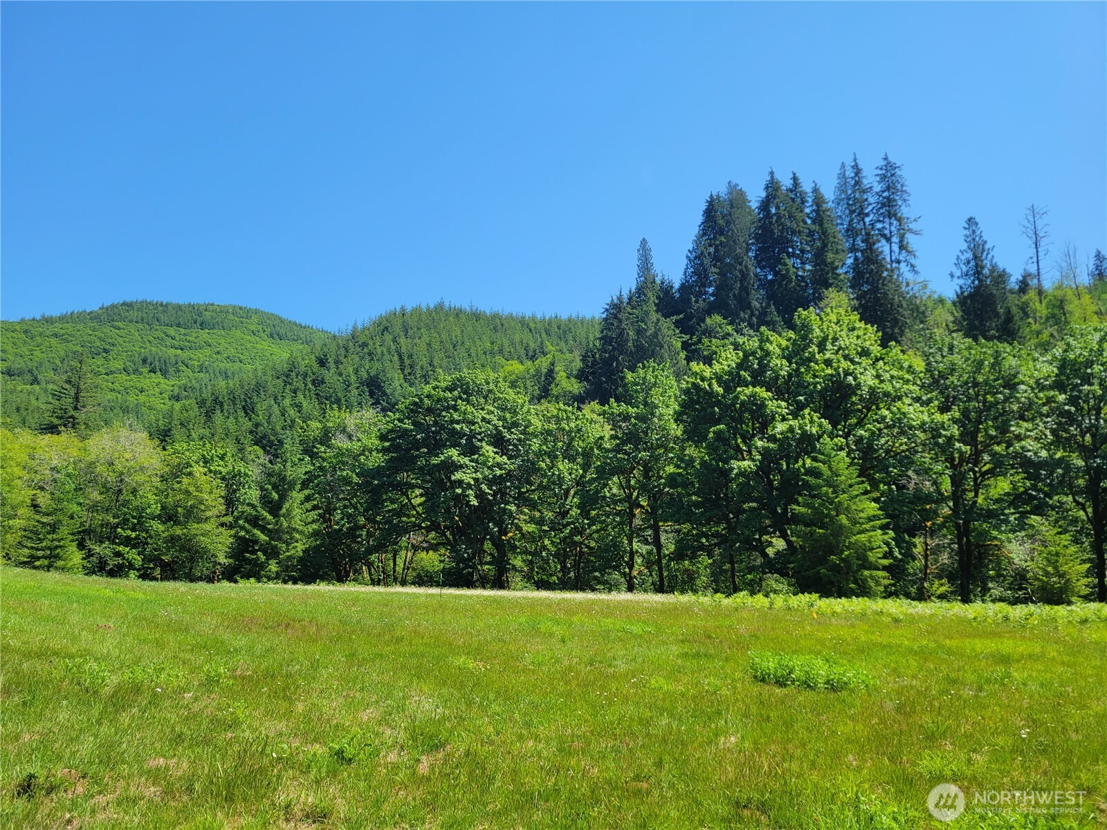 8820 Rose Valley Road Property Photo 4