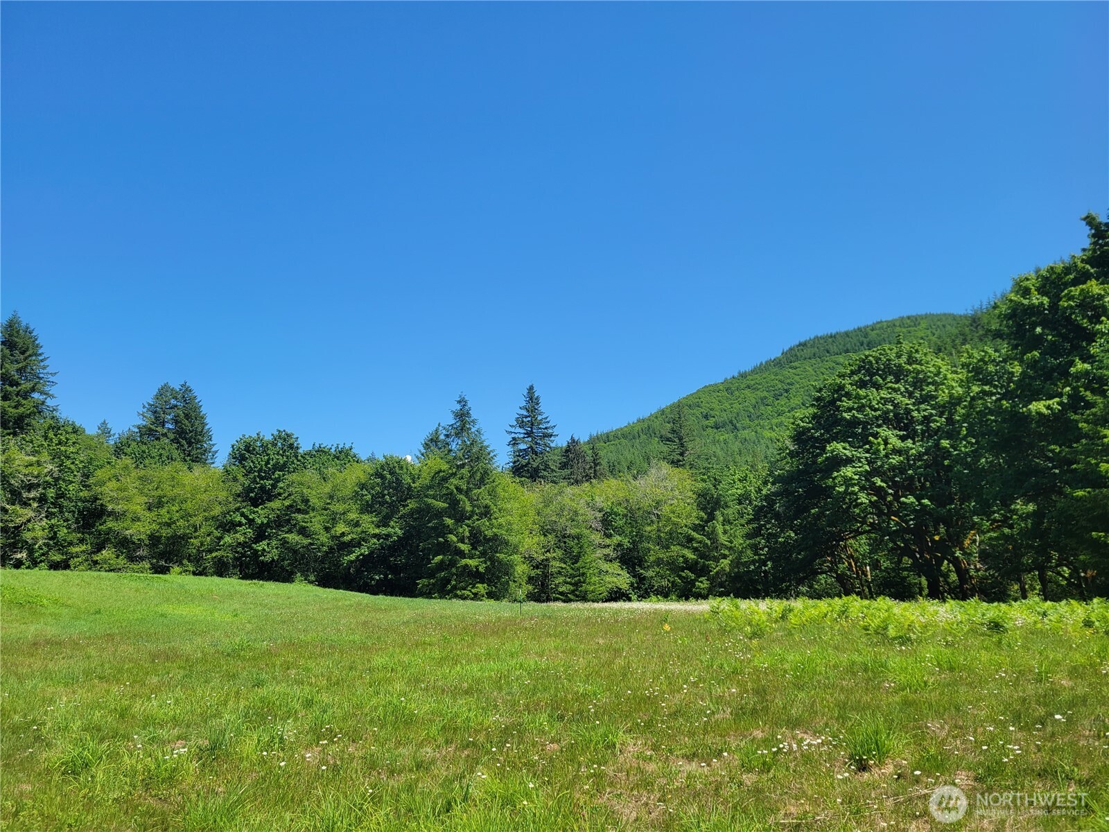 8820 Rose Valley Road Property Photo 5