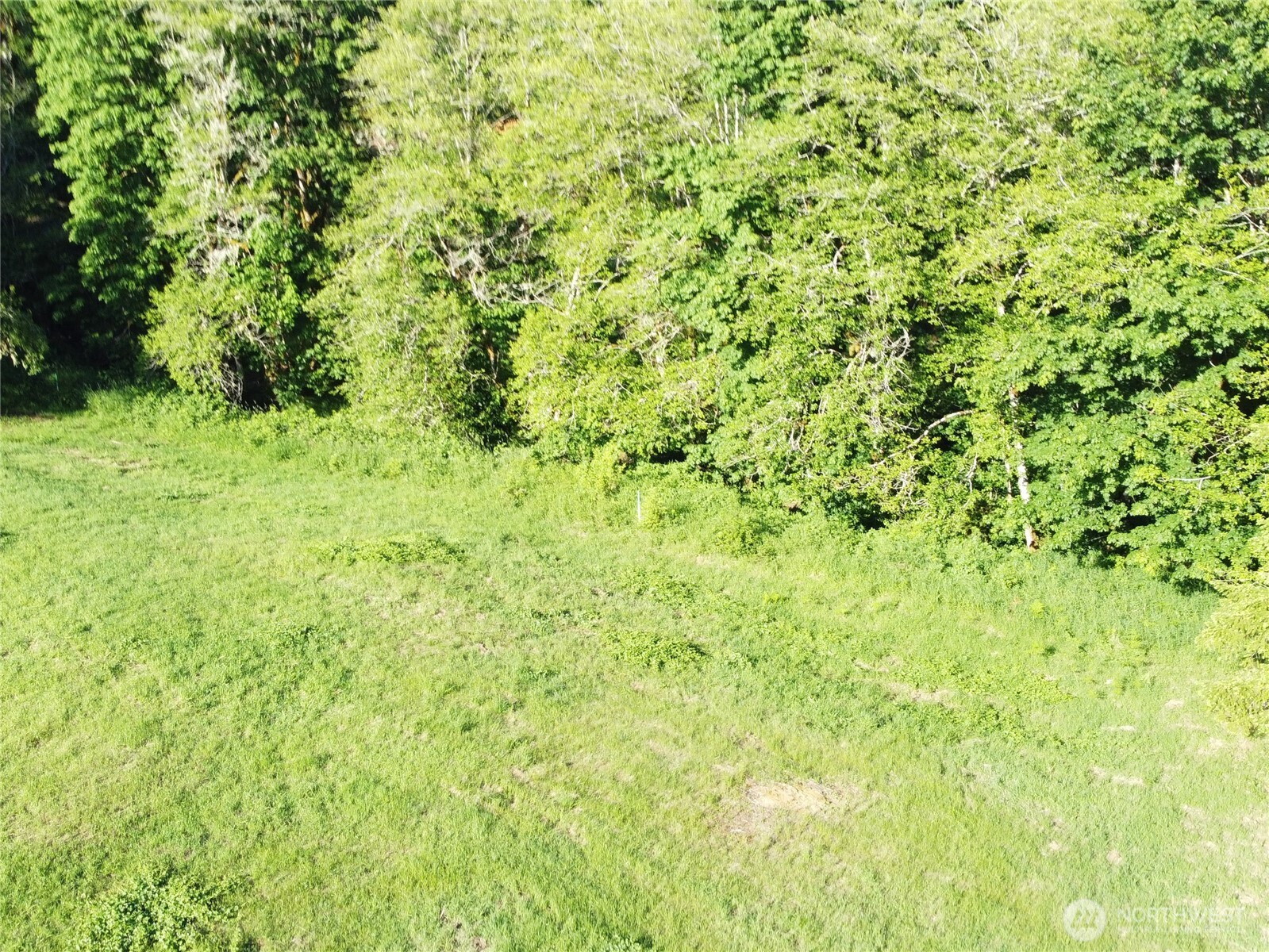 8820 Rose Valley Road Property Photo 9