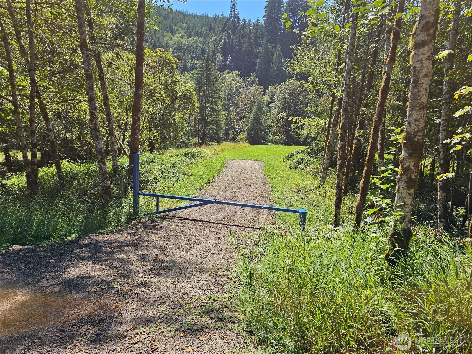 8820 Rose Valley Road Property Photo 13