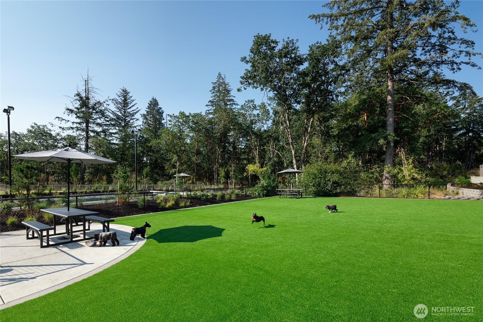 2926 Balsamroot Drive Property Photo 19