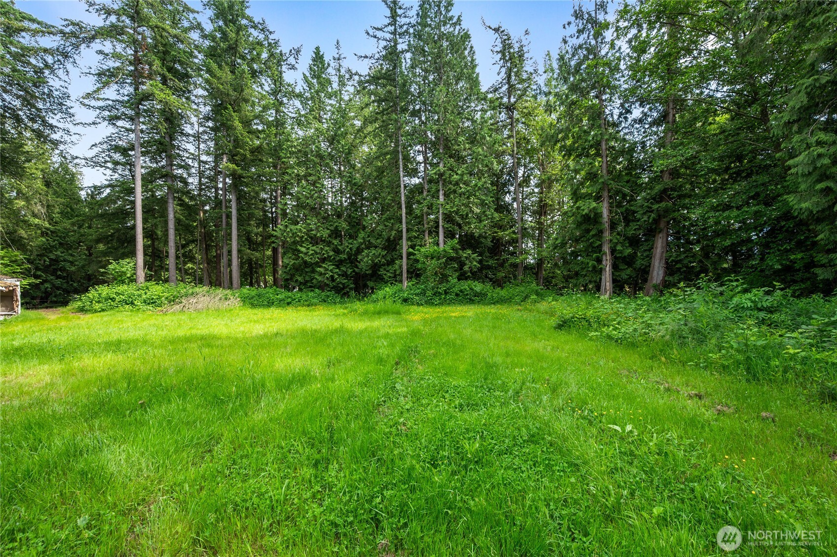 3233 Loomis Trail Road Property Photo 28