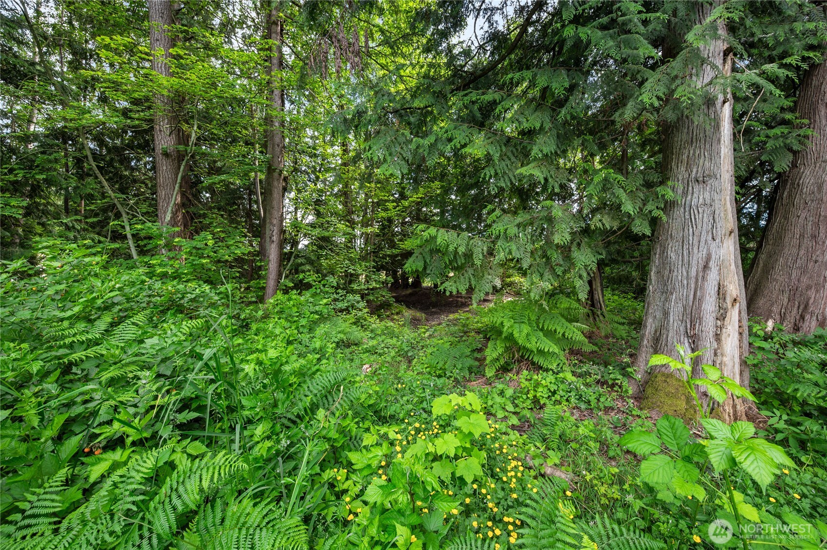 3233 Loomis Trail Road Property Photo 29