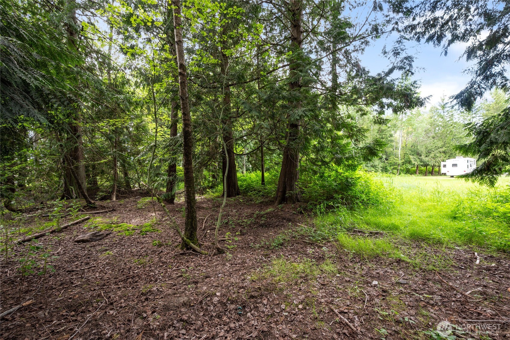 3233 Loomis Trail Road Property Photo 30