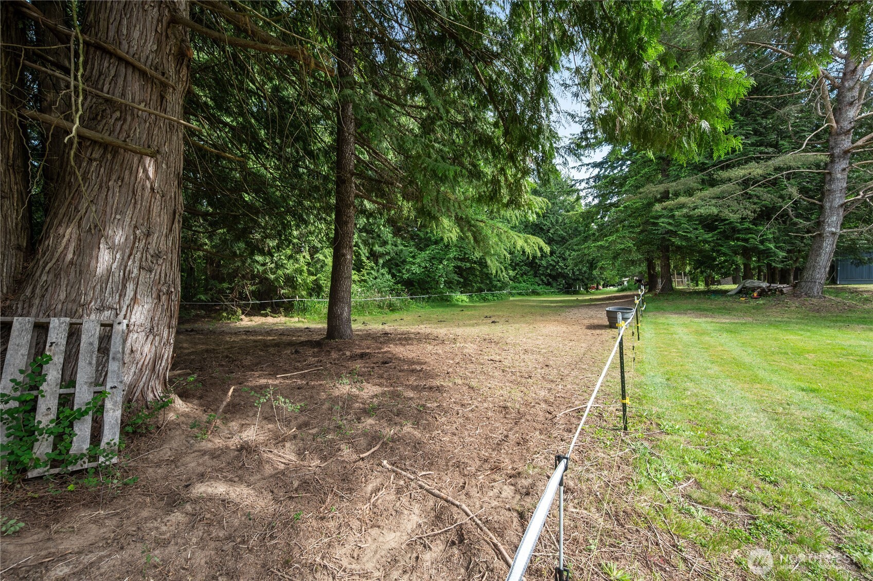 3233 Loomis Trail Road Property Photo 32