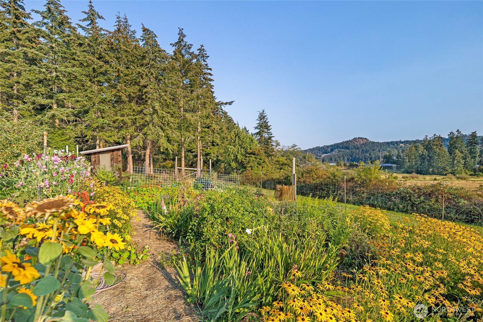 14 Fieldstone Road Property Photo 12