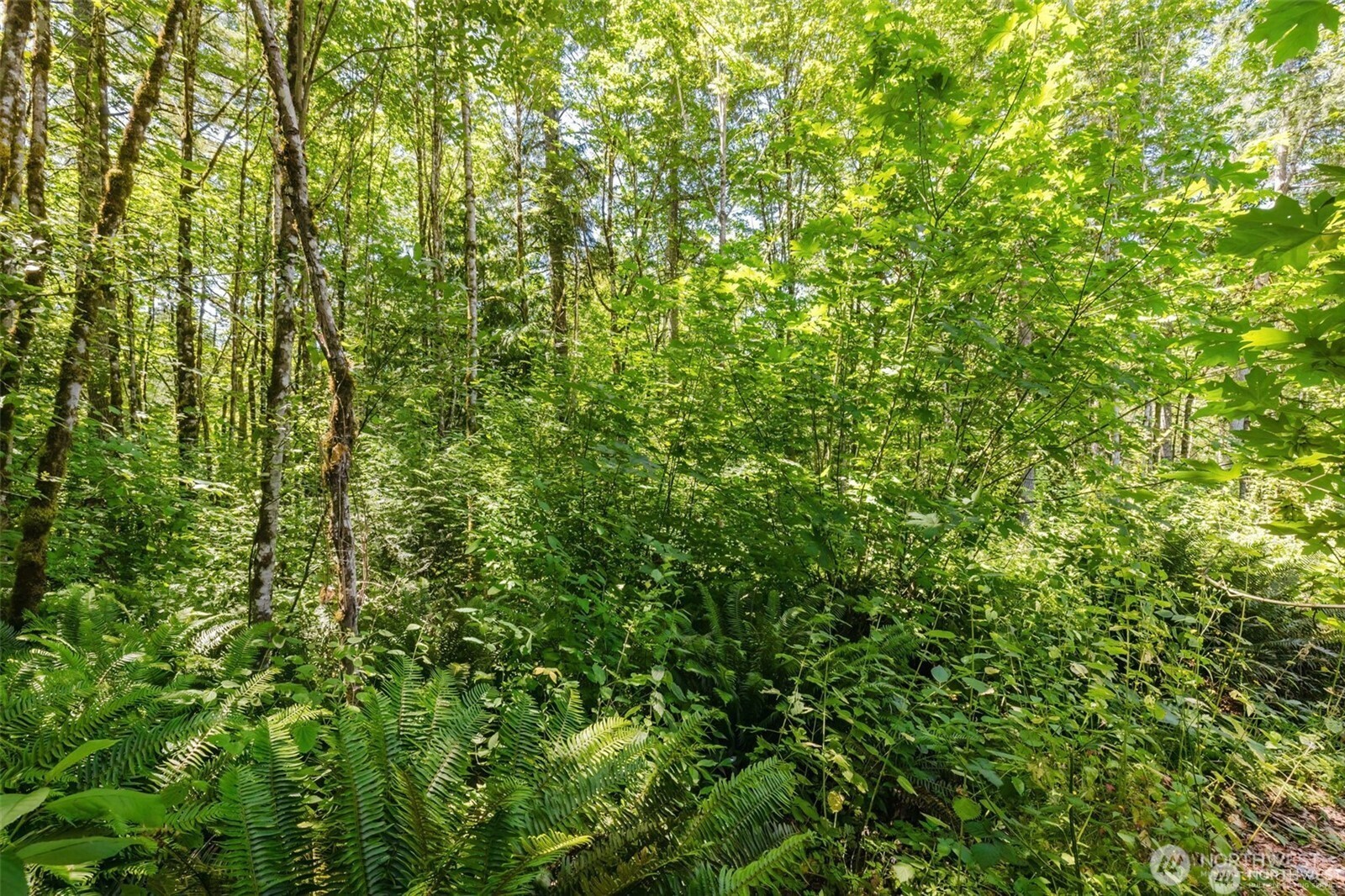 11 Lot Cassie Place Property Photo 2
